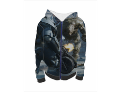 Толстовка Fallout, Фоллаут №7