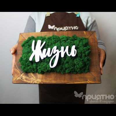 ЖИВАЯ ЭКО-КАРТИНА 1045