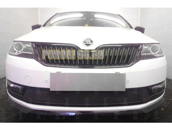 Защита радиатора Skoda Rapid 2017- (2 части) black
