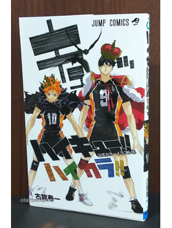 Оригинальный Арт Бук Haikyuu!! Color Illustration Shuu Haikara!! (Волейбол!!)