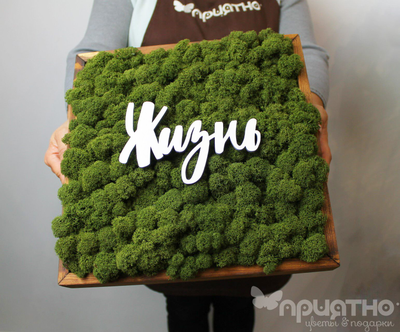 ЖИВАЯ ЭКО-КАРТИНА 1061