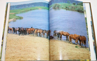 Камбегов Б. Коневодство и коннозаводство России. М.: Росагропромиздат. 1988г.