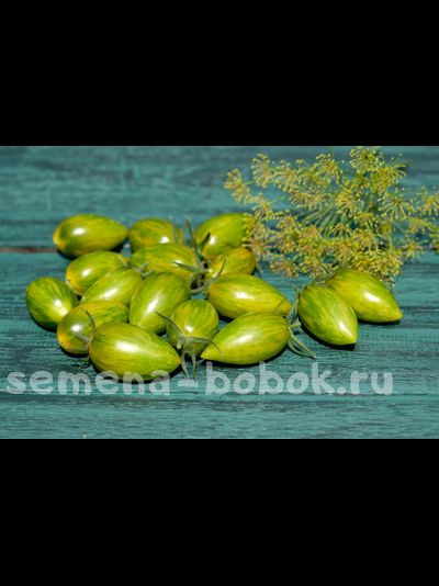 Томат Зеленый Тигр ( Green Tiger), 10 шт