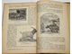 Бэр П. В царстве животных. М.:  Тип. Русского товарищества, 1912