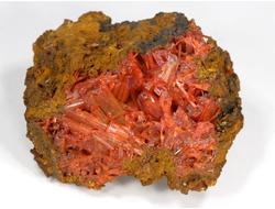 Крокоит, кристаллы на породе, Австралия, Тасмания (56*45*32 мм, 130 г) №28594