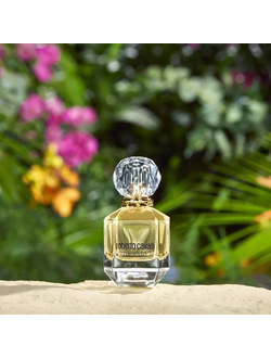 ROBERTO CAVALLI Paradiso