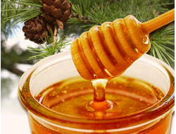 Лесной мед алтайский | ферма СытникЪ