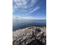 Масло НОТА: ЖЕНСКОЕ ПРИСУТСТВИЕ, 2.5 мл