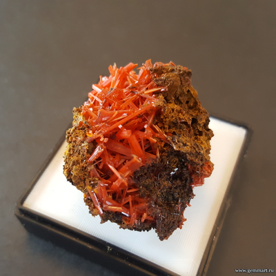 Крокоит — кристаллы на породе в пластиковом боксе. ААА