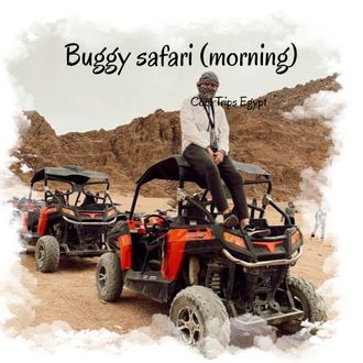 Buggy safari in the morning (2 hours program) (El Quseir, Port Ghalib, Marsa Alam)