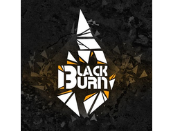 Табак для кальяна Black Burn 100 грамм