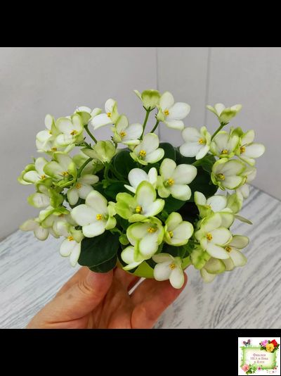 Mac's Misty Meadow (G.McDonald)