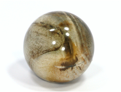 Шар Окаменелое дерево, Мадагаскар (35 мм, 57 г) №20703