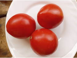 Томат Эм-чемпион