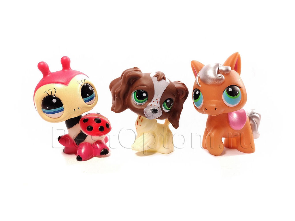 Lovely outlet pet shop