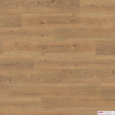 Декор ламината Haro Tritty 100 Дуб Флавия Натур 544708 фронт