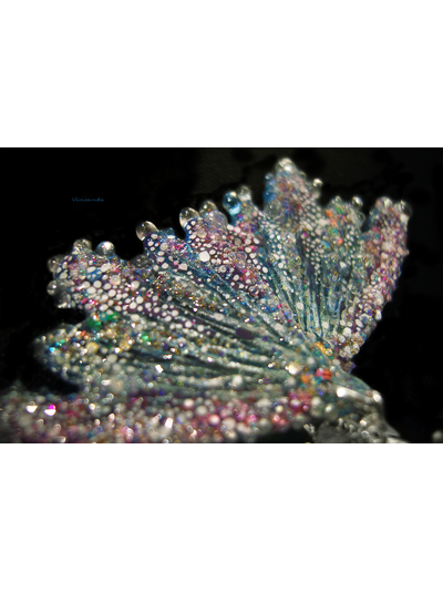 Коллекционные серьги "Крылышки весенней Лелефеи", лабрадоры и звёздочки