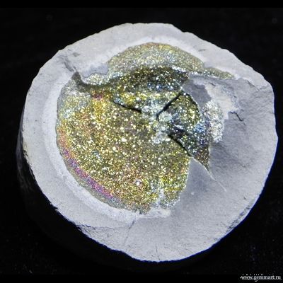 Пирит, "спектропирит", в полости конкреции. Россия. 59*57*28мм