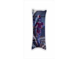 Дакимакура Borderlands, Бордерленд №10