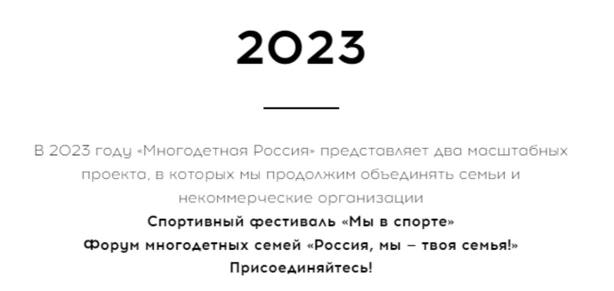 Проект о многодетных семьях 2008 Год семьи