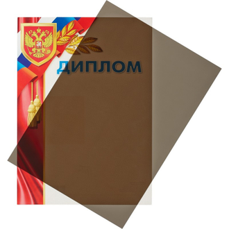 Обложки для переплета пластиковые Promega office дымч, А4, 200мкм, 100 штук в упаковке
