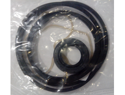 Ремкомплект насоса С72Х