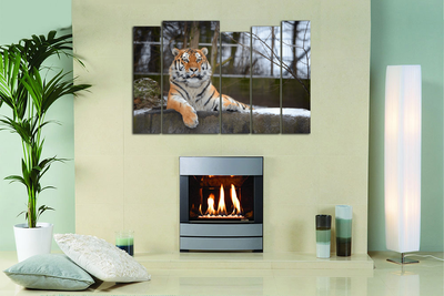 Модульная картина "Спокойный тигр"