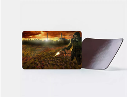 Магнит Stalker/ Сталкер №17