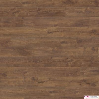 Декор ламината Haro Дуб с янтарной сердцевиной 538656 фронт