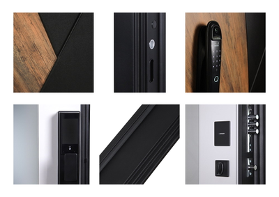 Стальная дверь   Loft с зеркалом (биометрический замок)