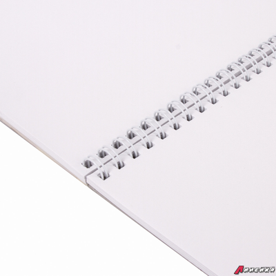 Альбом для рисования, А4, 40 листов, гребень, выборочный лак, подложка, 120 г/м2, BRAUBERG, 205×290 мм, «Картина» (2 вида). 102834