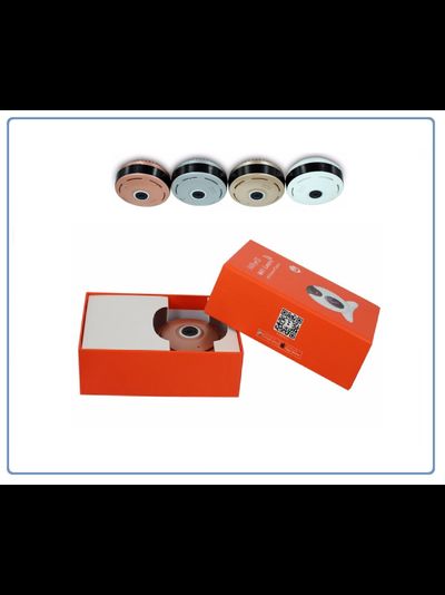 Потолочная WiFi видеокамера панорамная с DVR (fish_ufo_G), 960P HD (360EyeS)