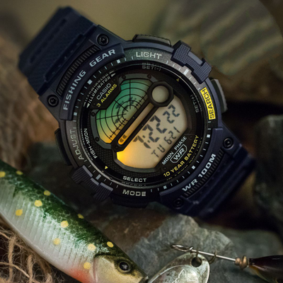 Часы Casio WS-1200H-2A