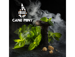 Табак Black Burn Cane Mint Тростниковая Мята 100 гр