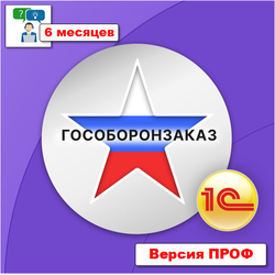 Поддержка: Консультации и сопровождение ПРОФ - 6 месяцев