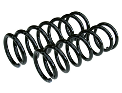 Пружины задние Фобос Nissan Primera (10/96 - 8/99) (2шт)