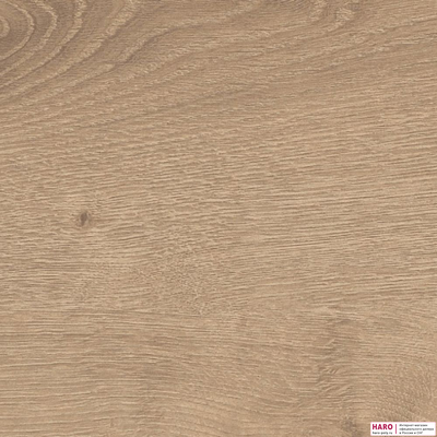 Декор ламината Haro Daily Edition Дуб Бреда Пуро 541338 структура