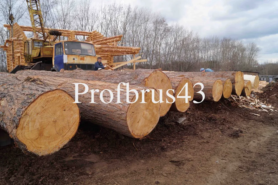 На производственной площадке, прибыла машина с сибирским кедром 