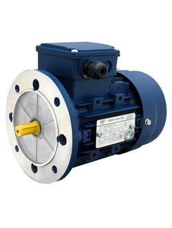 Электродвигатель АИС 160L2 (18,5 кВт)