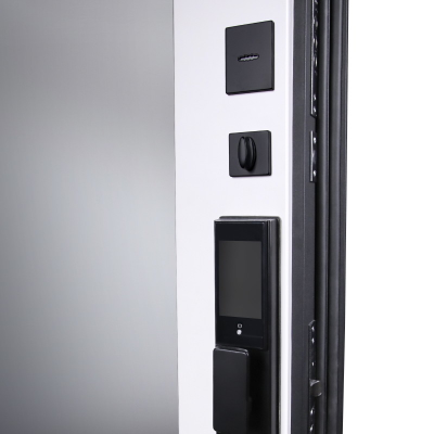 Стальная дверь   Сапсан с зеркалом (биометрический замок Smart lock DZ 888)