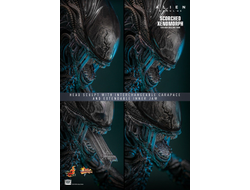 ПРЕДЗАКАЗ - Чужой (Ромул) - Коллекционная ФИГУРКА 1/6 Scorched Xenomorph Alien: Romulus (MMS784) - Hot toys ?ЦЕНА: 48600 РУБ.?
