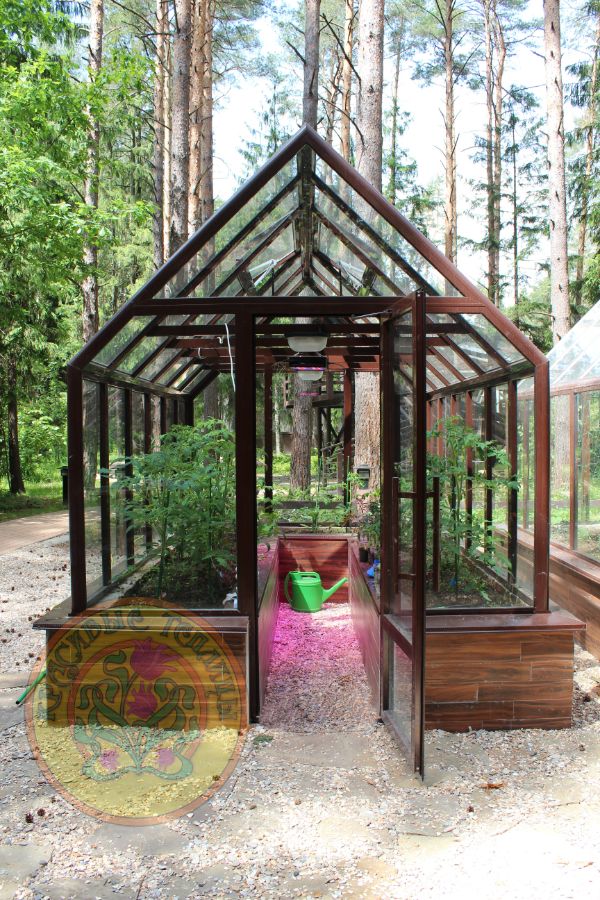 Английская теплица Джульетта -теплица люкс