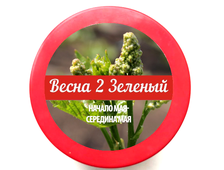 Весна 2