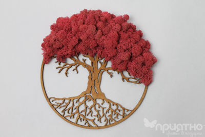 ЖИВАЯ ЭКО-КАРТИНА 1024