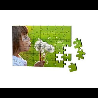 Пазл картон 200х145 мм., детали - 10x8 (80 элементов)