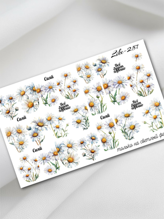 Слайдер-дизайн для ногтей LIKE-257