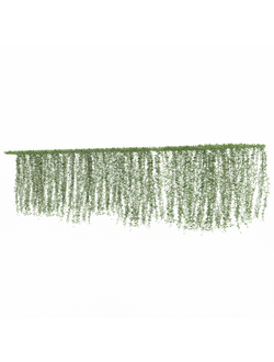 вьющиеся Вьющиеся растения Vernonia Elliptica Curtain+Creeper+Plant