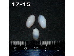 Агат натуральный (кабошон) тиман №17-15: комплект - 2 шт 15*8*5мм + 12*7*5мм