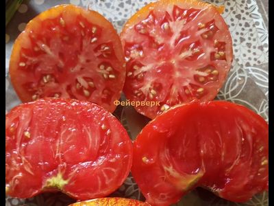 Томат Фейерверк
