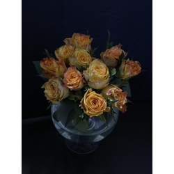 Роза Кения 11 шт